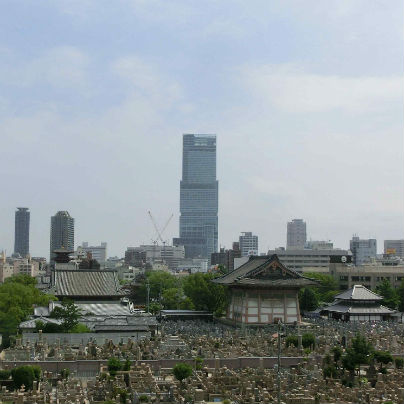 マツ六さんの窓から見た光景。日本一高いビル『あべのハルカス』と聖徳太子が建立の四天王寺さんが同時に見られます