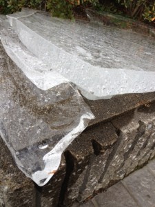 会社の前に張った氷を砕いて、コンクリートの上においています。最も厚いところで厚さは約６センチです